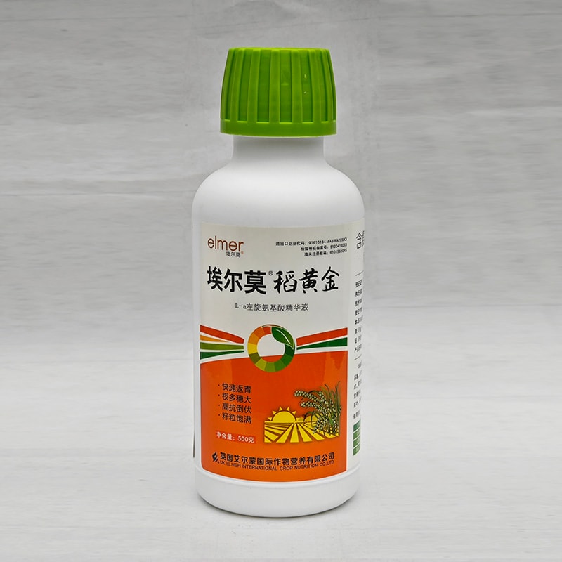埃尔莫·稻黄金